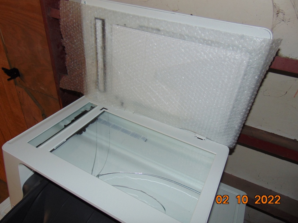 Photo by Lance Wright of Americas Family Movers Inc - Large