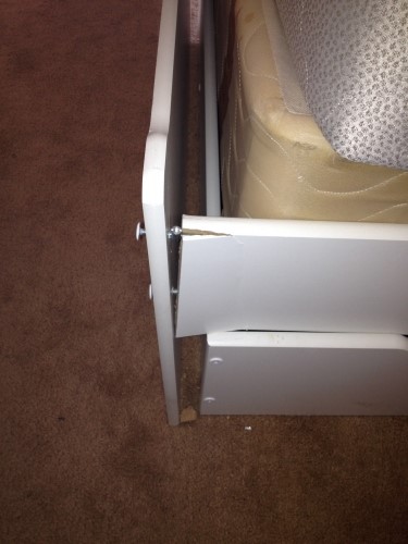 Photo by Stephanie Larkin  of Delaware Moving & Storage - Large