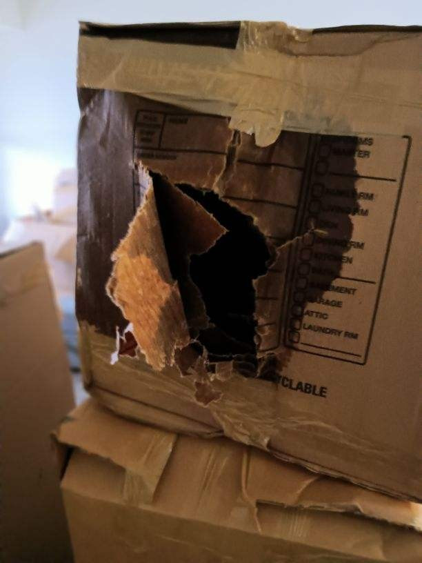 Second photo by Angela C Schalz of Relo Van Lines - Large