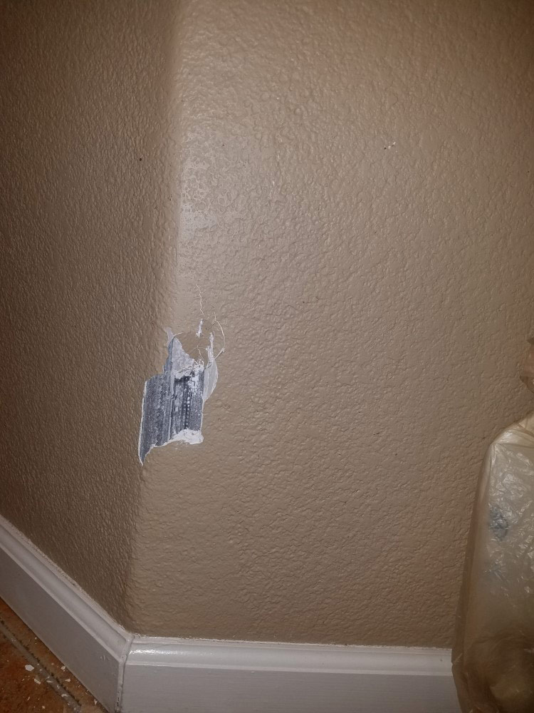 Photo by Richard Heym of Great Nation Moving - Large