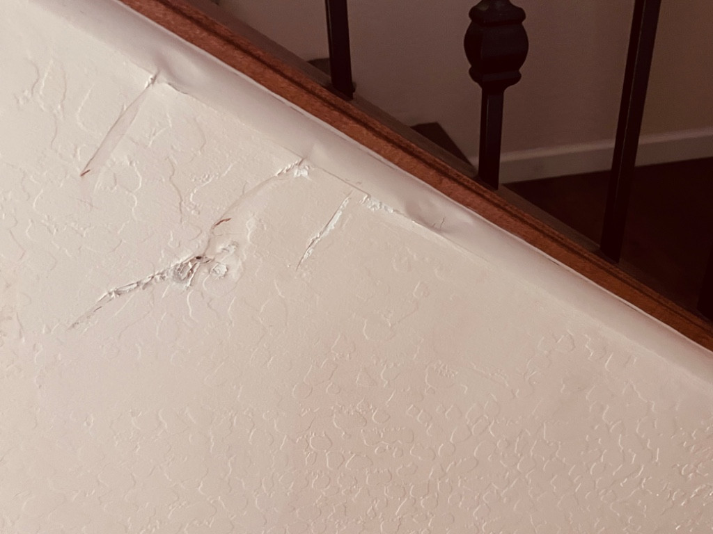 Photo by Carla Derespiris of Trinity Relocation Group - Large