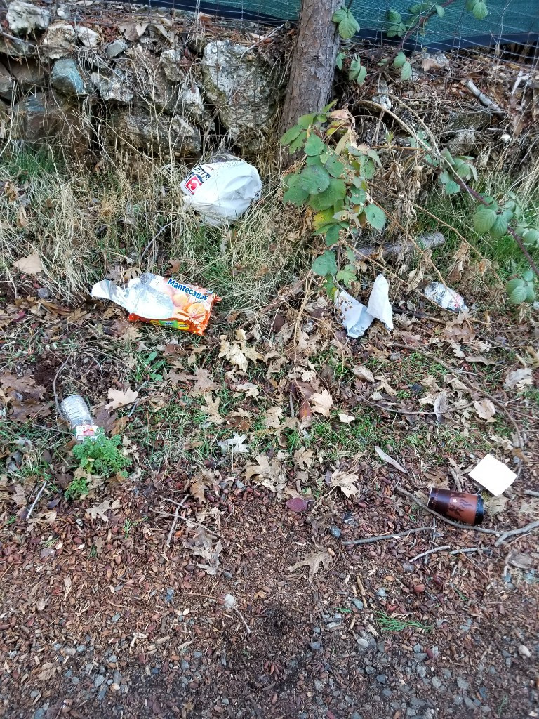 Photo by Michael Ahl of Prime Relocation Services Inc - Large