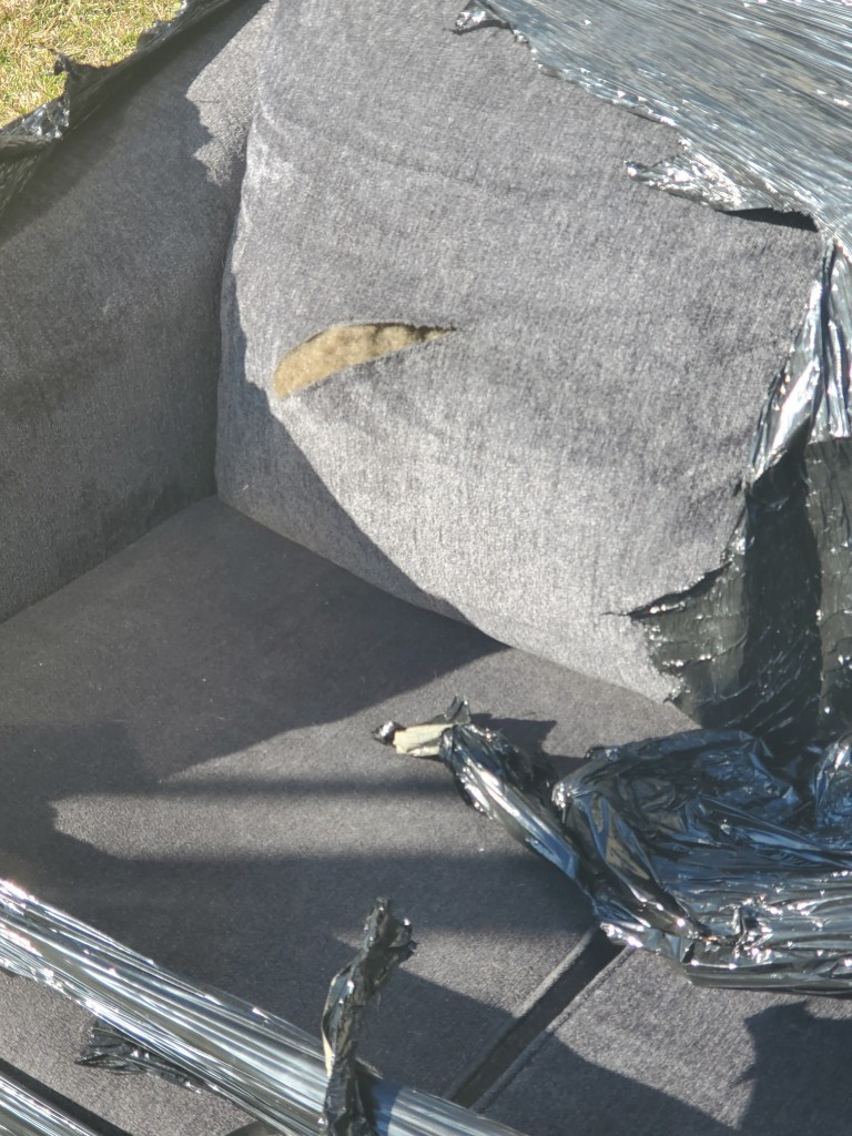 Photo by Carl Morris of Mission Moving - Large