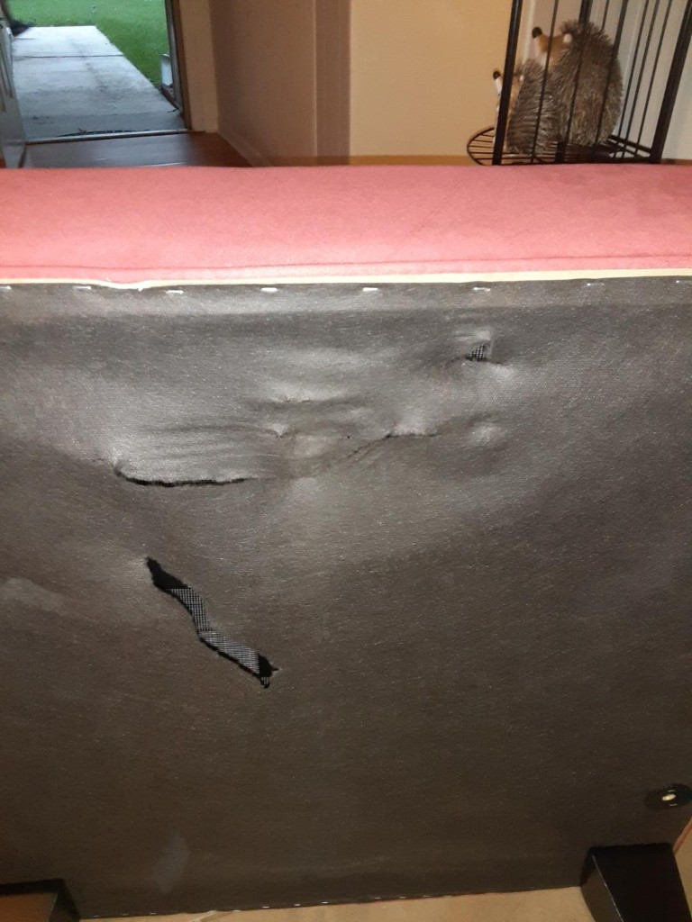 Photo by Andrea Joeys of Connected Van Lines - Large