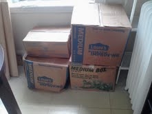 Second photo by C Mark of Sunshine State Moving Company, Inc. - Large