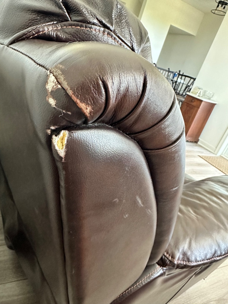 Second photo by Zee Bee of Moving Solutions  - Large