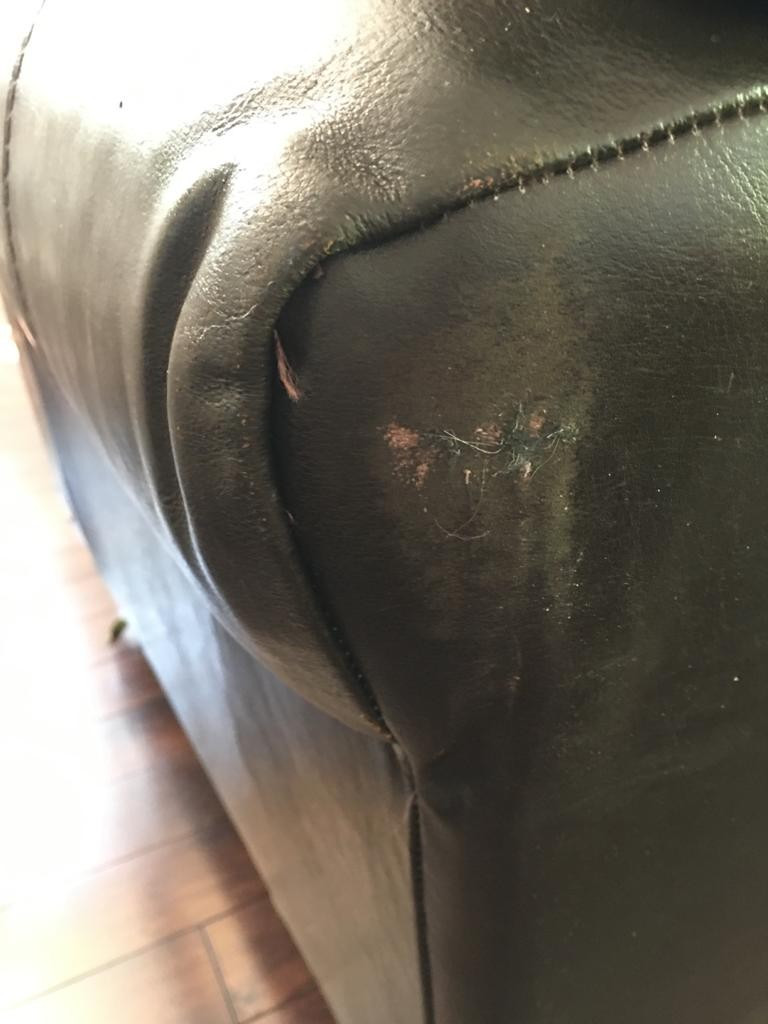 Photo by Wendy Lee of Ottawa Pro Movers - Large