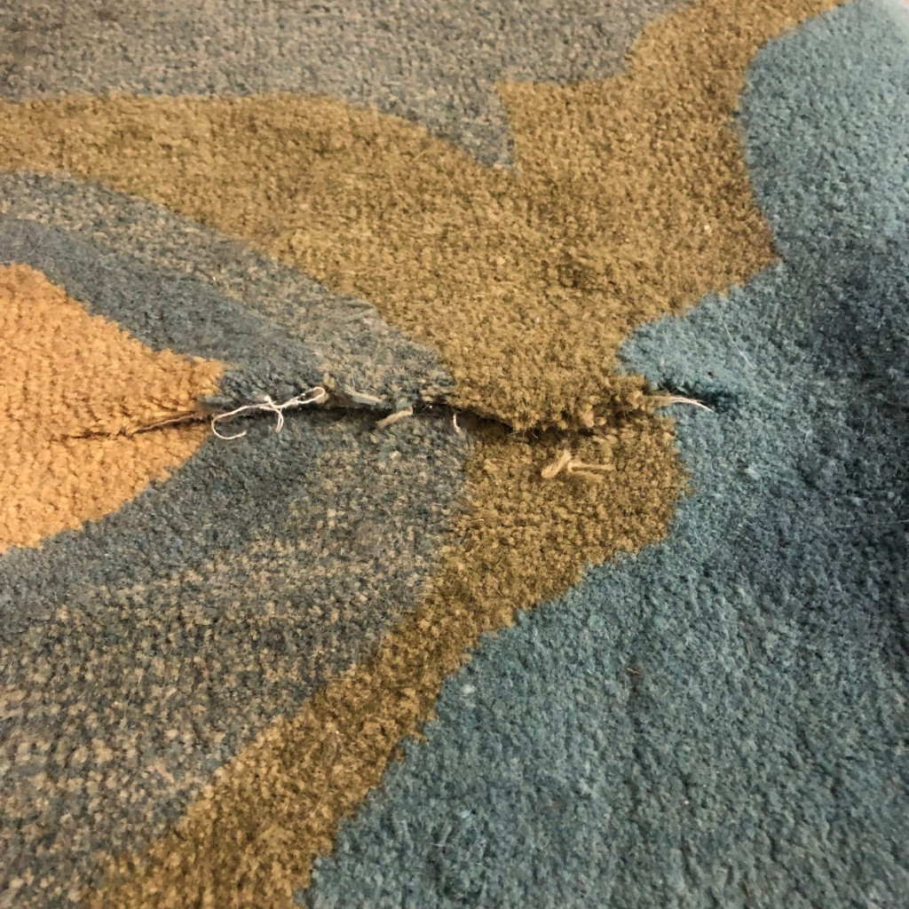 Second photo by Michele Stern of Davi & Valenti Movers - Large