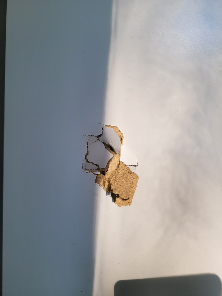 Photo by Amber Boskers of MoveR Van Lines - Large