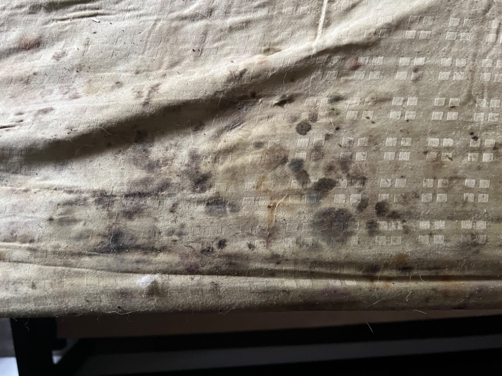 Photo by Tam Fidel of All Moving Relocation LLC - Large