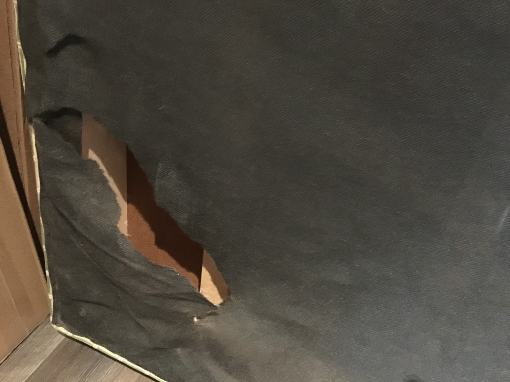 Second photo by Lidija Biro of Rawlinson Moving & Storage - Large