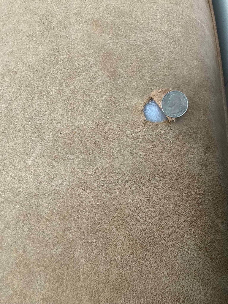 Photo by Jim Jazwiecki of Shleppers Moving & Storage - Large