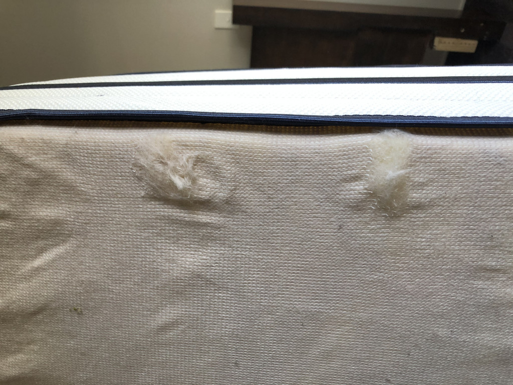 Second photo by Courtney Young of Auckland Kiwi Movers - Large