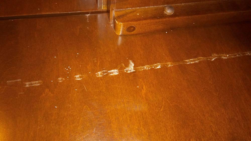 Photo by Eileen Mcvicker of Assurance Van Lines - Large