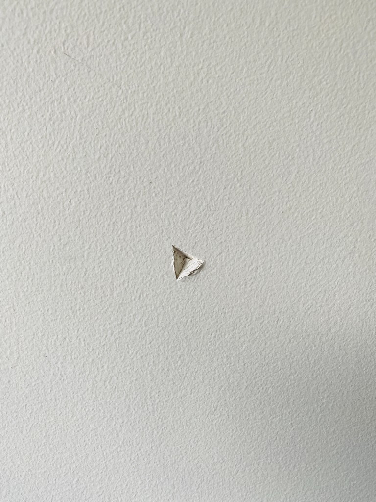 Second photo by Sarvin Rajoo of CBD Movers AU - Large