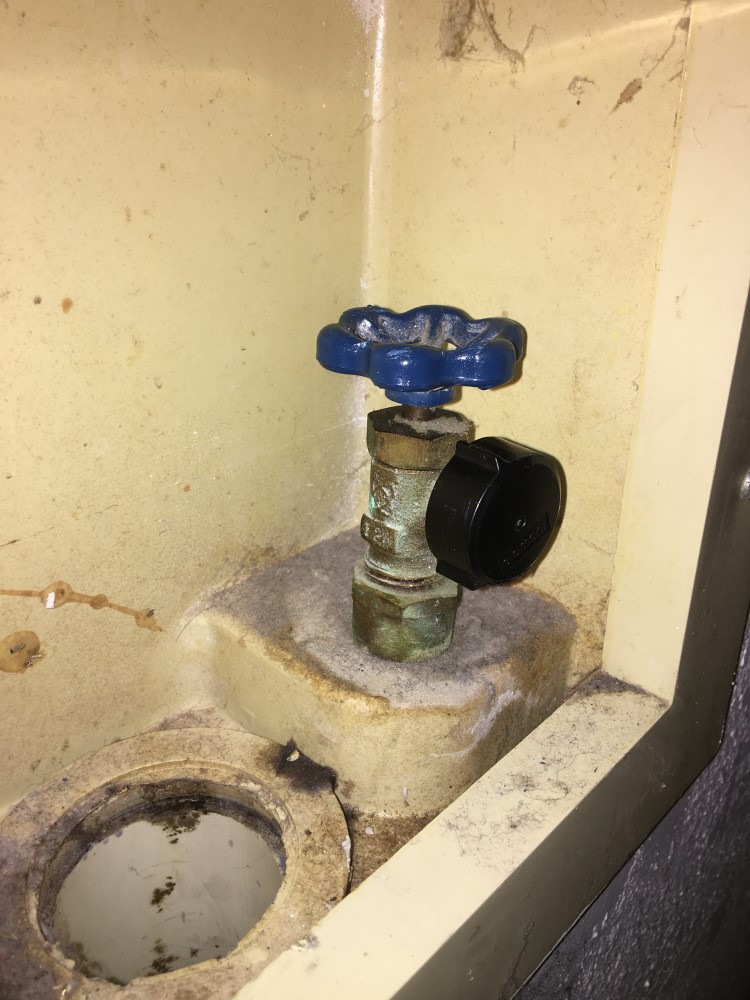 Second photo by Sandra of Geo Van Lines - Large