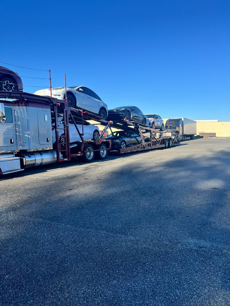 Photo by Auney Medalla of Royal Auto Ship LLC - Large