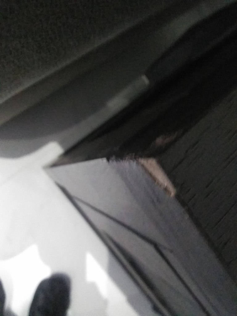 Photo by Dana Eklund of Family Movers Canada - Large