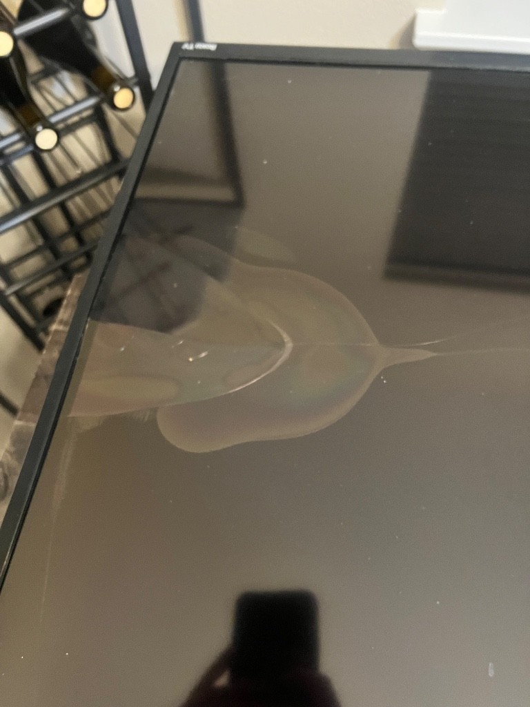 Photo by Amber Cory of Sunflower Relocation - Large