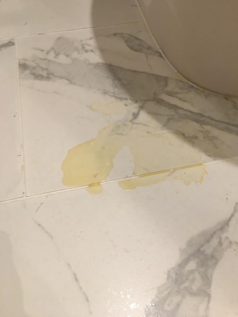 Photo by Nicole Cox of Solomon and Sons Relocation Service - Large