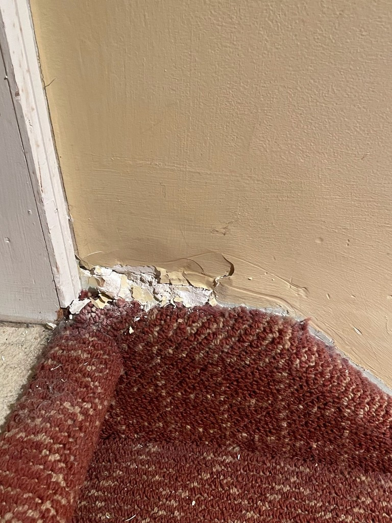 Photo by Jan Cantley of Tri-State Area Movers - Large