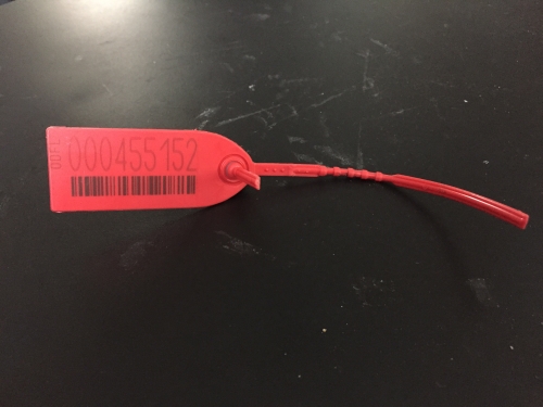 Second photo by Meg of U Pack - Large