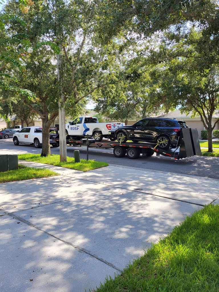 Photo by Candice Hamilton of Pride Car Shipping Inc - Large