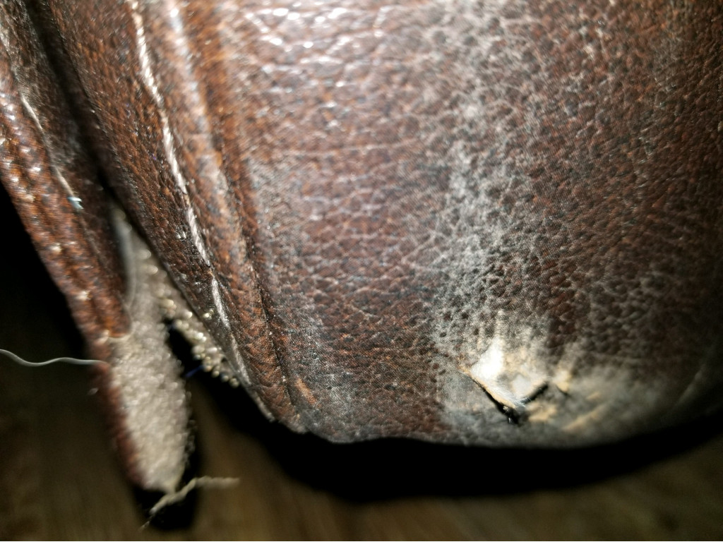 Photo by Olga Mosher of California Relocation Systems LLC - Large