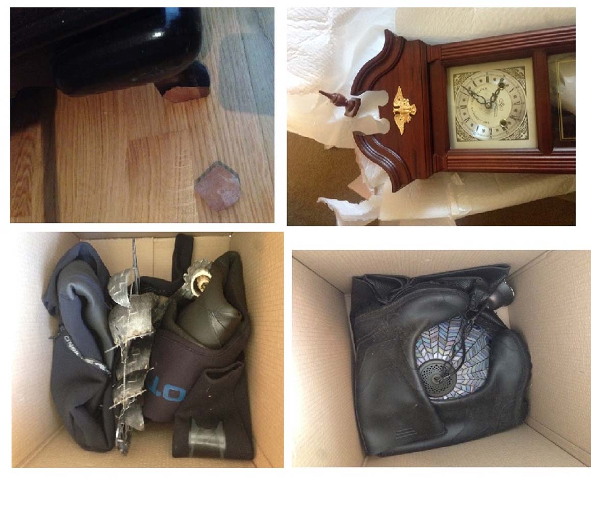 Photo by Dino A of PSS International Removals - Large