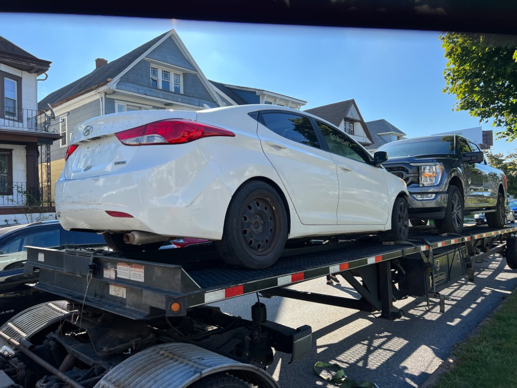 Photo by Arafat Ahmed of Safeeds Transport Inc - Large