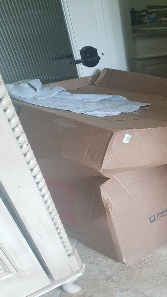 Second photo by Brian Drexel of American Knights Moving - Large