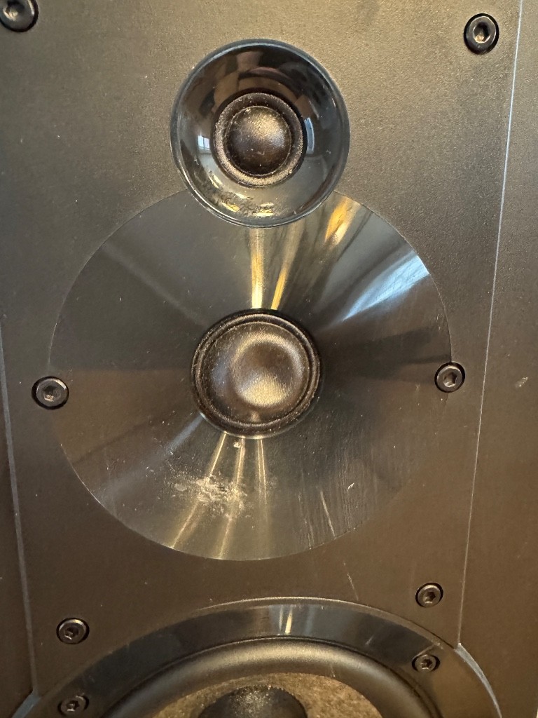 Photo by Nick Steele of Jackson Movers - Large