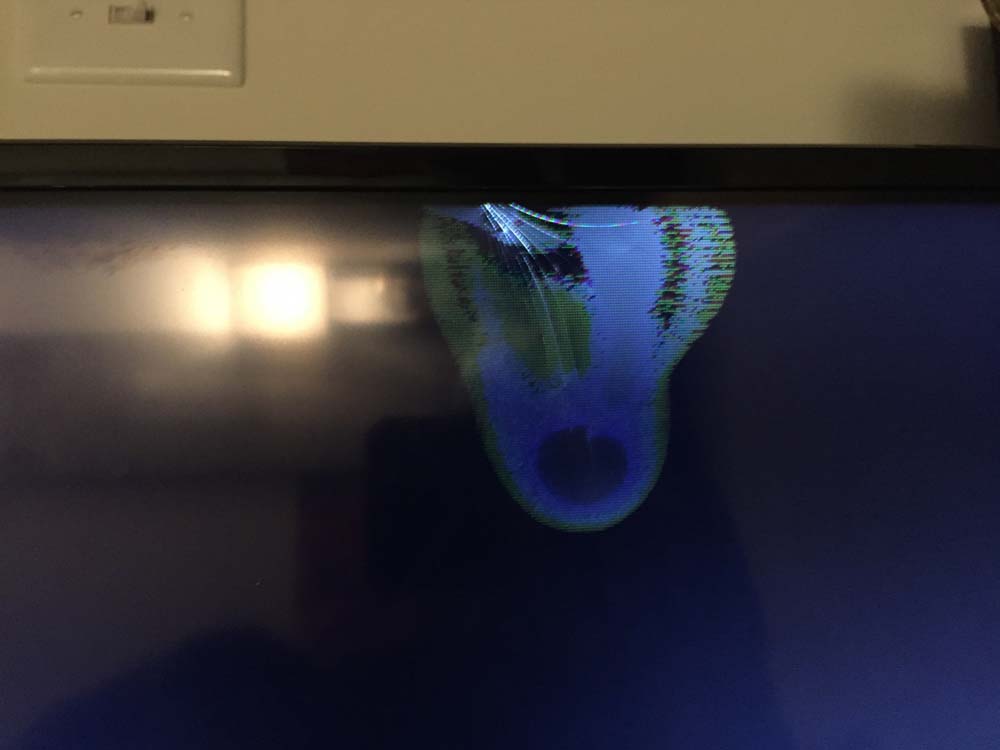 Photo by Robin of EZ Moving Van Lines Inc. - Large