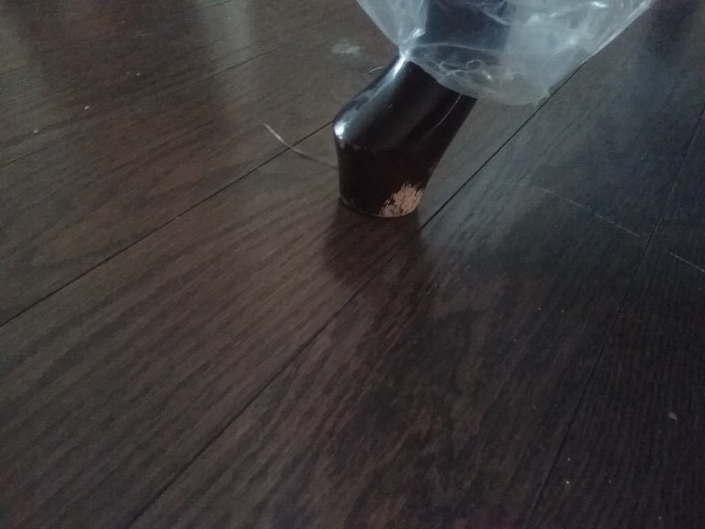 Photo by Christie Herrington of Canadian Moving Systems - Large