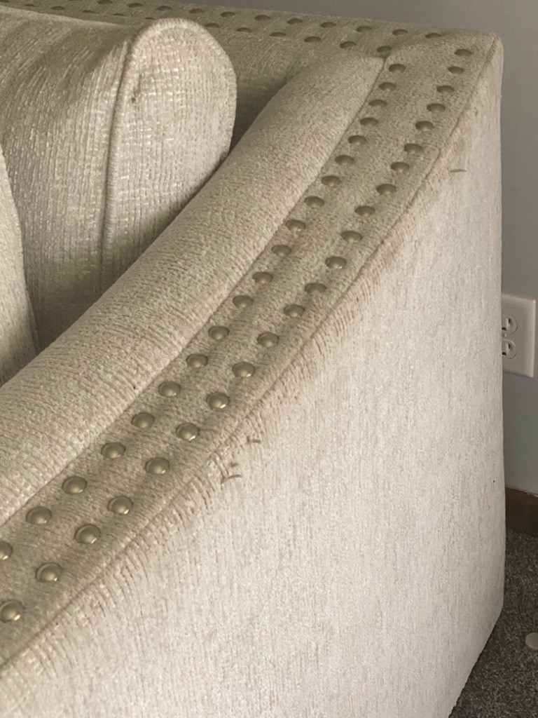 Second photo by Anita Freeman Carter of Rey's Reliable Movers LLC - Large