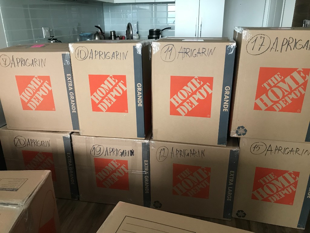 Photo by Alexander Prigarin of Europack The International Movers - Large