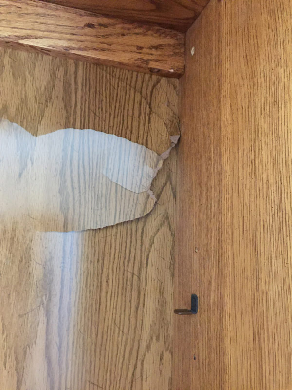 Photo by Kerry of Special Ops Moving - Large