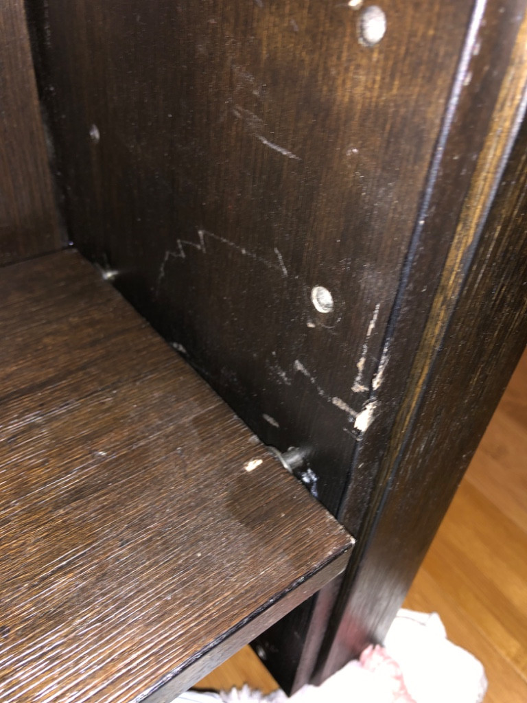 Photo by Kathleen Brandes of New Leaf Moving Group - Large