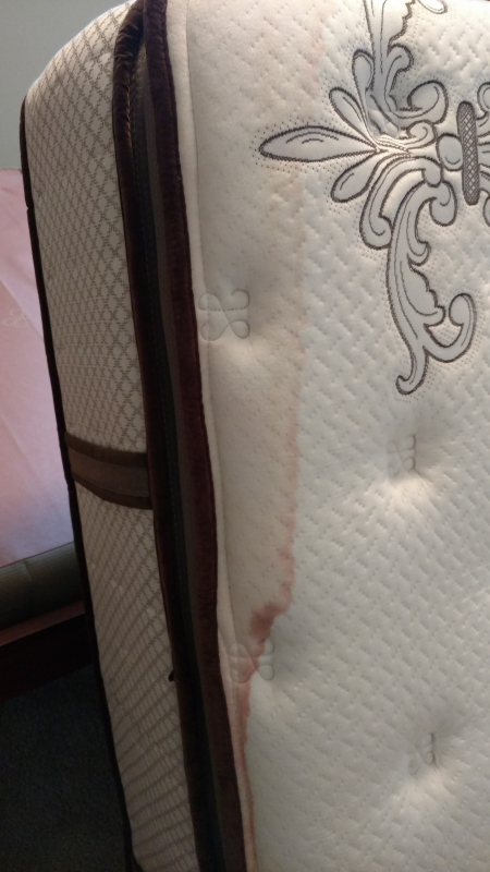 Second photo by Kimberly Sanders of David and Goliath Moving - Large