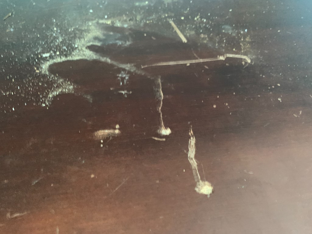 Second photo by Joseph White of Pronto Moving & Storage Inc - Large