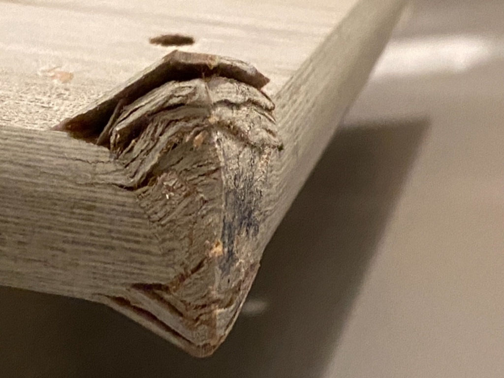 Second photo by Karen Smith of All Pro Moving Group LLC - Large