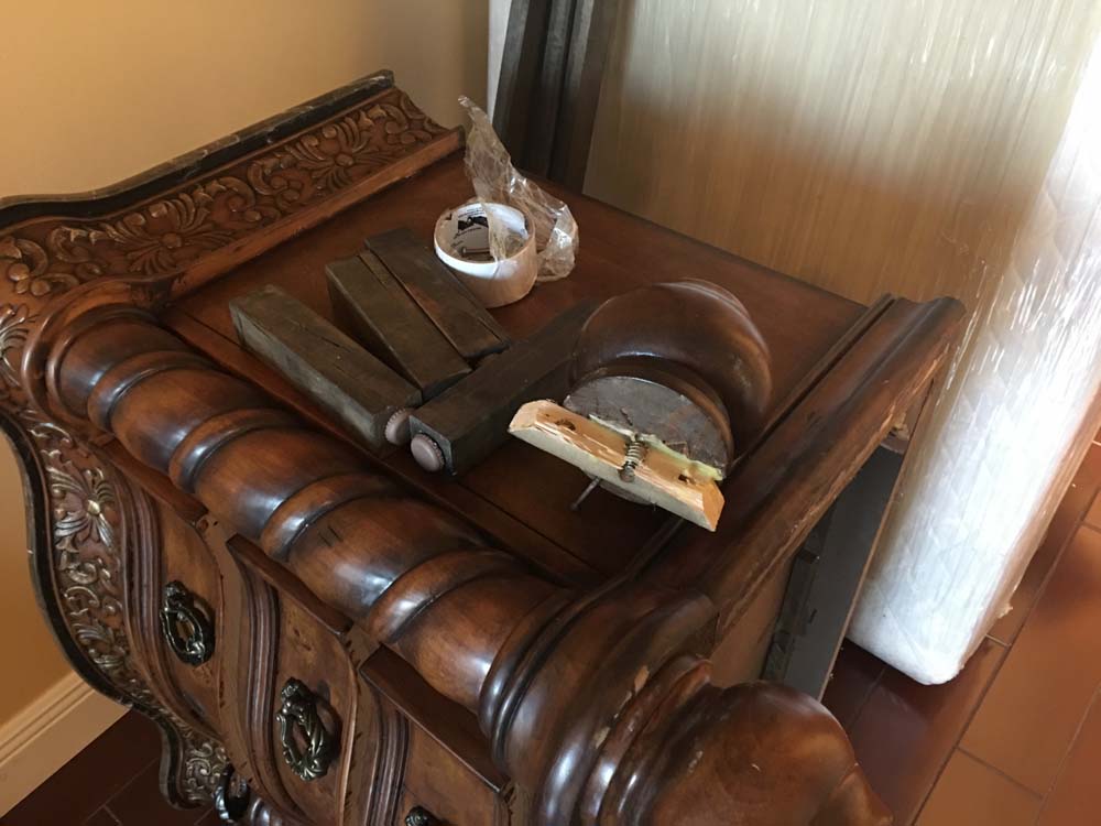 Photo by Sonia of Social Moving Group - Large