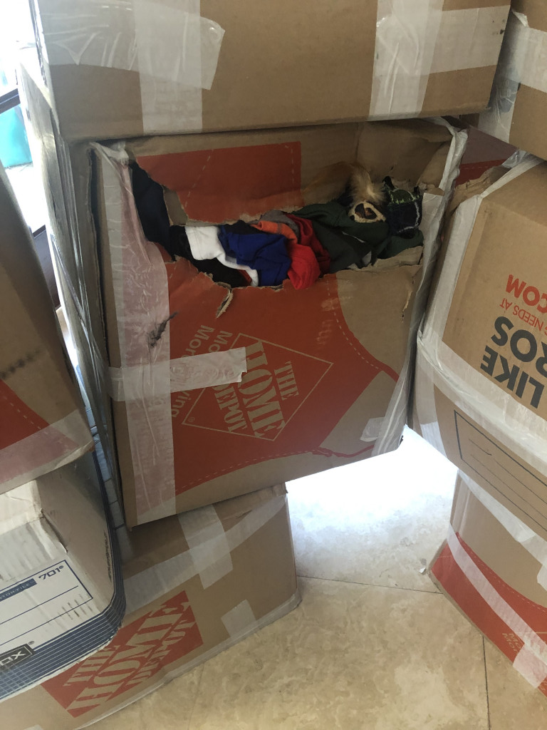 Photo by Reia Rowland of US Household Moving & Storage - Large