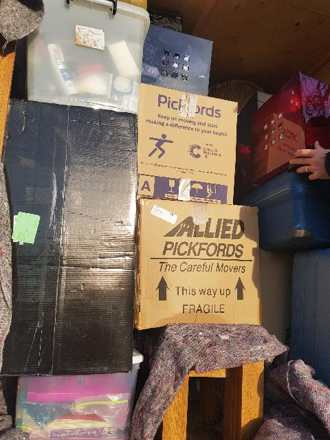 Photo by Dora Miranda of Pickfords - Large