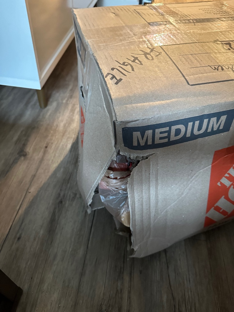 Second photo by Diksha Mohanty of Relo Van Lines - Large