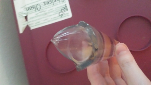 Photo by Chelsea of Texas Movers Group - Large