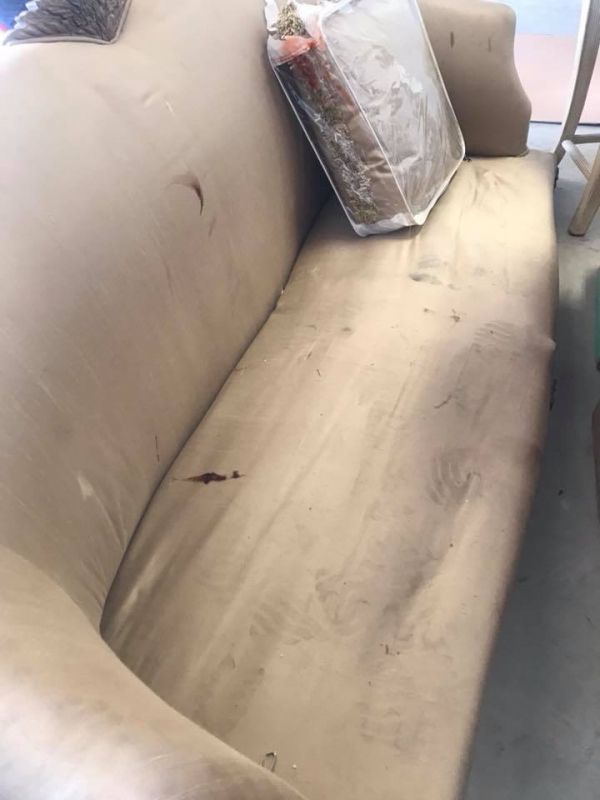 Photo by Janet Stanley of Moving Staffers - Large