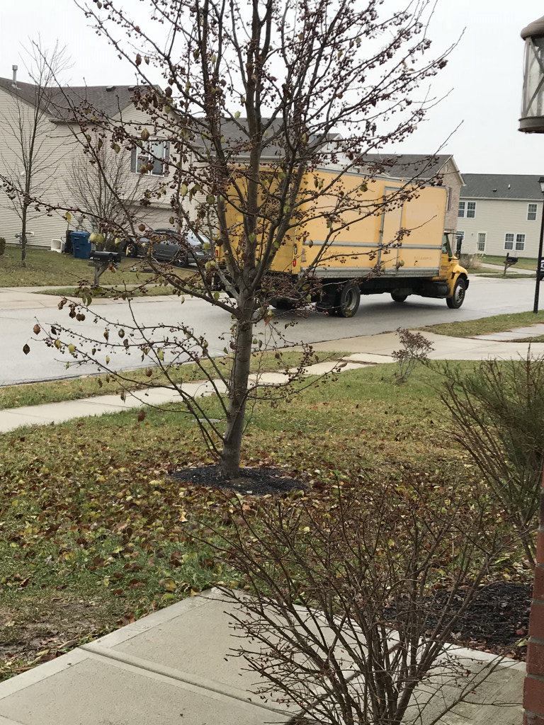 Photo by Elizabeth Pelham of Best Interstate Moving and Storage - Large