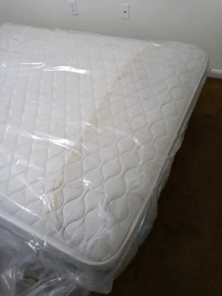 Photo by Deanna Goulette of Blue Diamond Movers LLC - Large