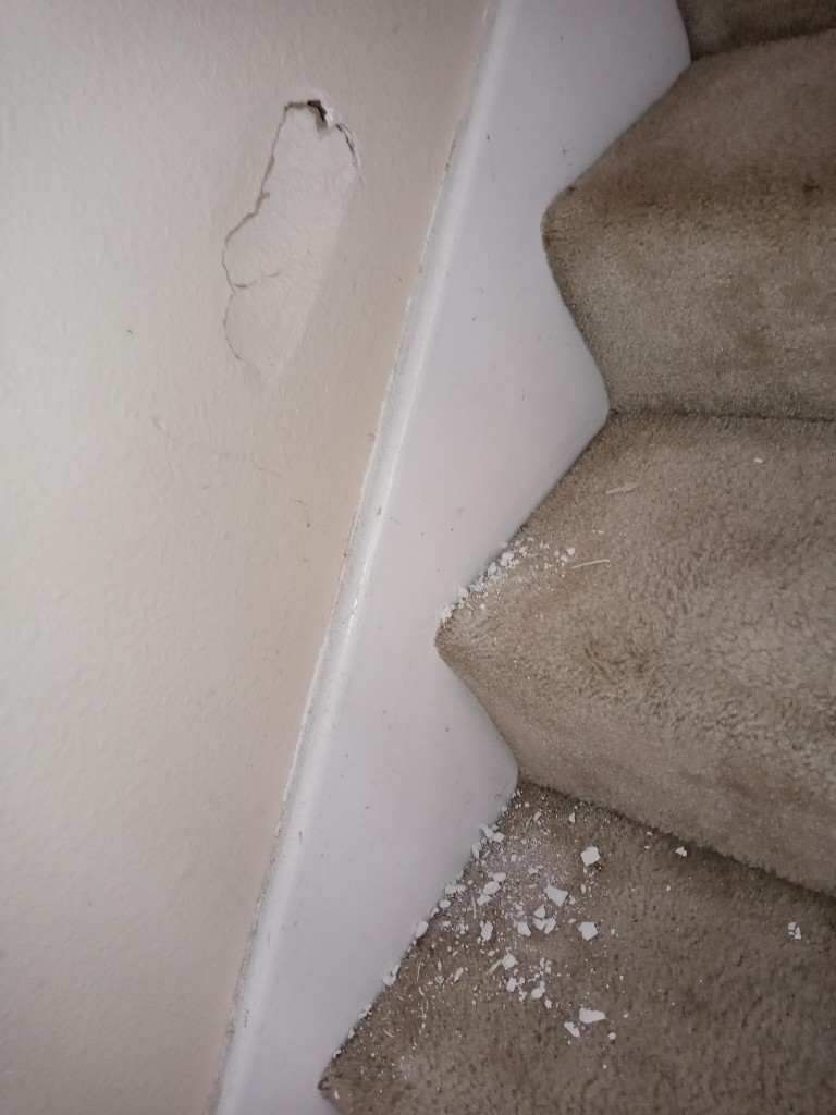 Photo by Sandra Rodriguez of Samson Power Movers LLC - Large